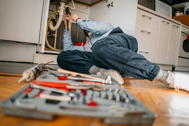 Best Plumbing Inspection Services  in Marshall, WI