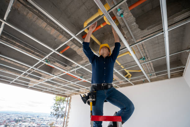 Best Commercial Plumbing Services  in Marshall, WI