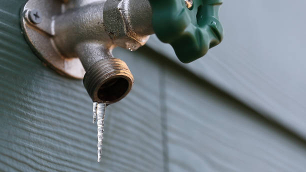 Best Drain Cleaning Services  in Marshall, WI
