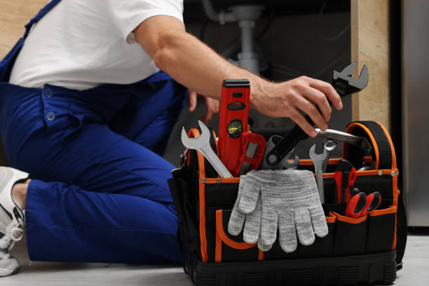 Best Clogged Drain Plumber  in Marshall, WI